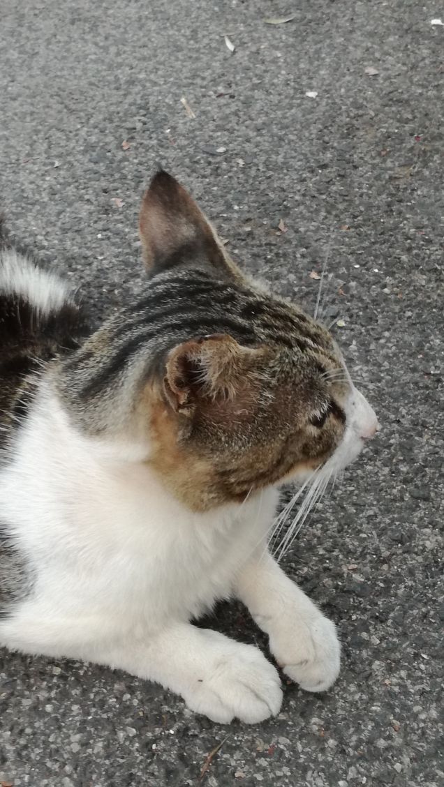 Ancora...ancora e ancora.5