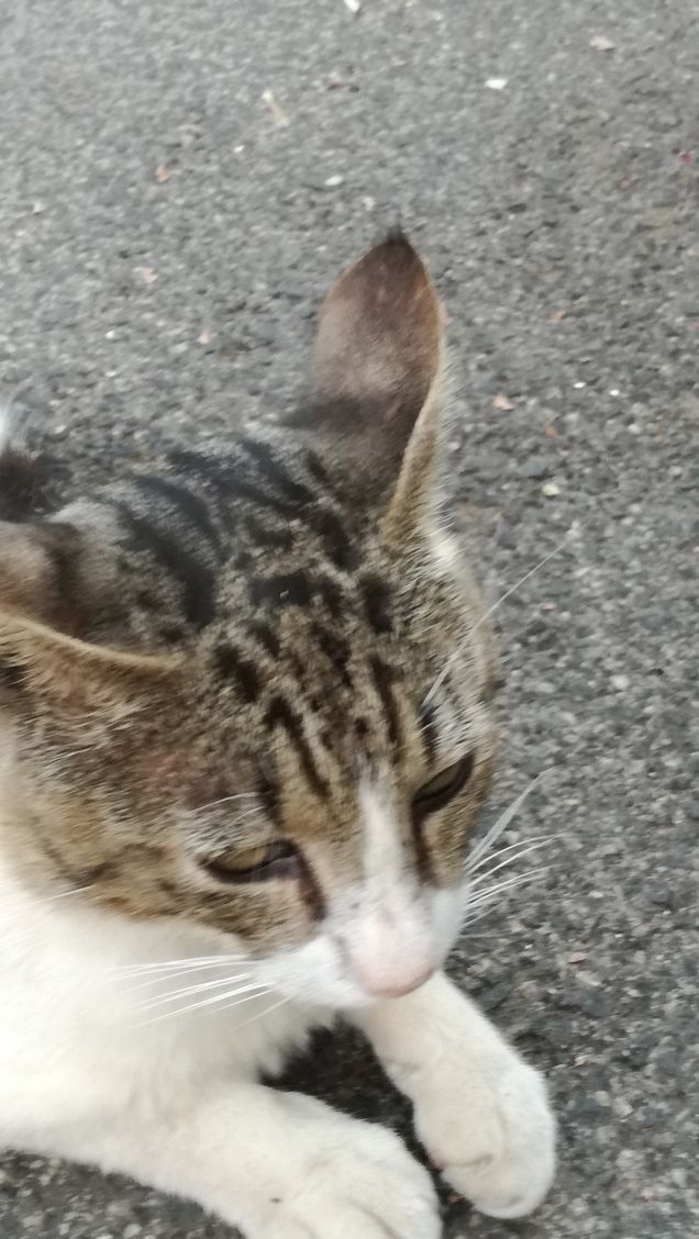 Ancora...ancora e ancora.6