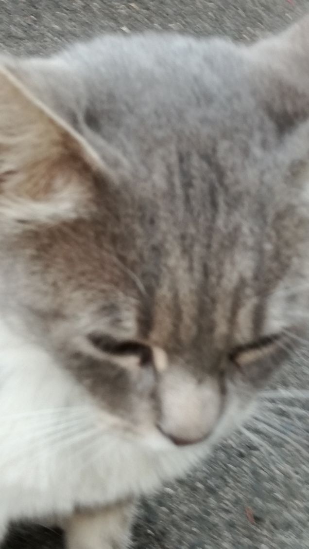 Ancora...ancora e ancora.7