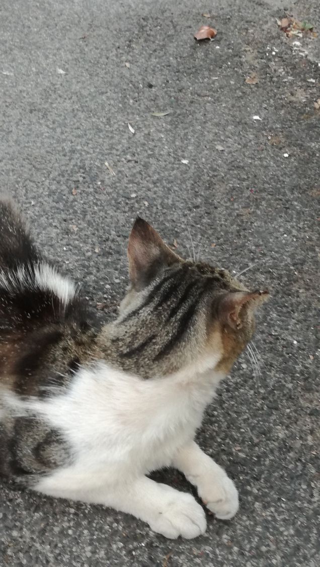 Ancora...ancora e ancora.8