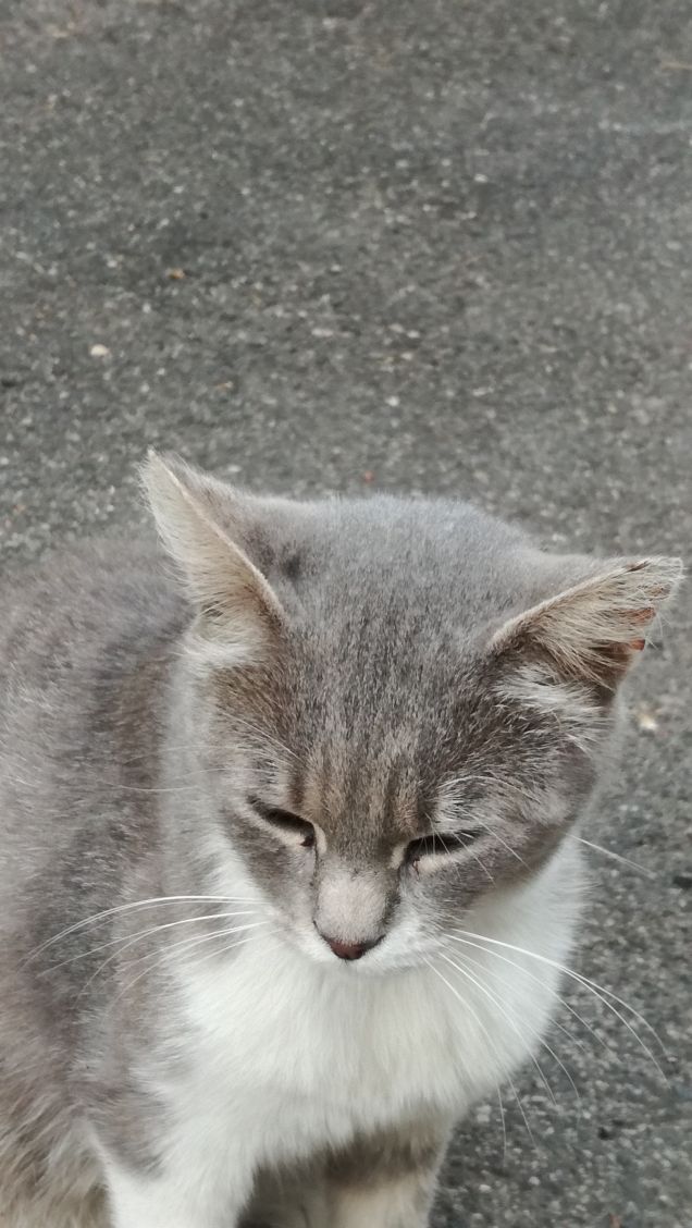 Ancora...ancora e ancora.9