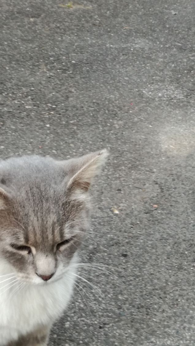 Ancora...ancora e ancora.10