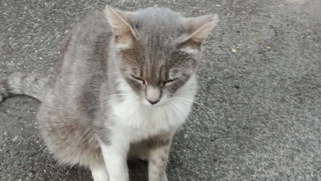 Ancora...ancora e ancora.11