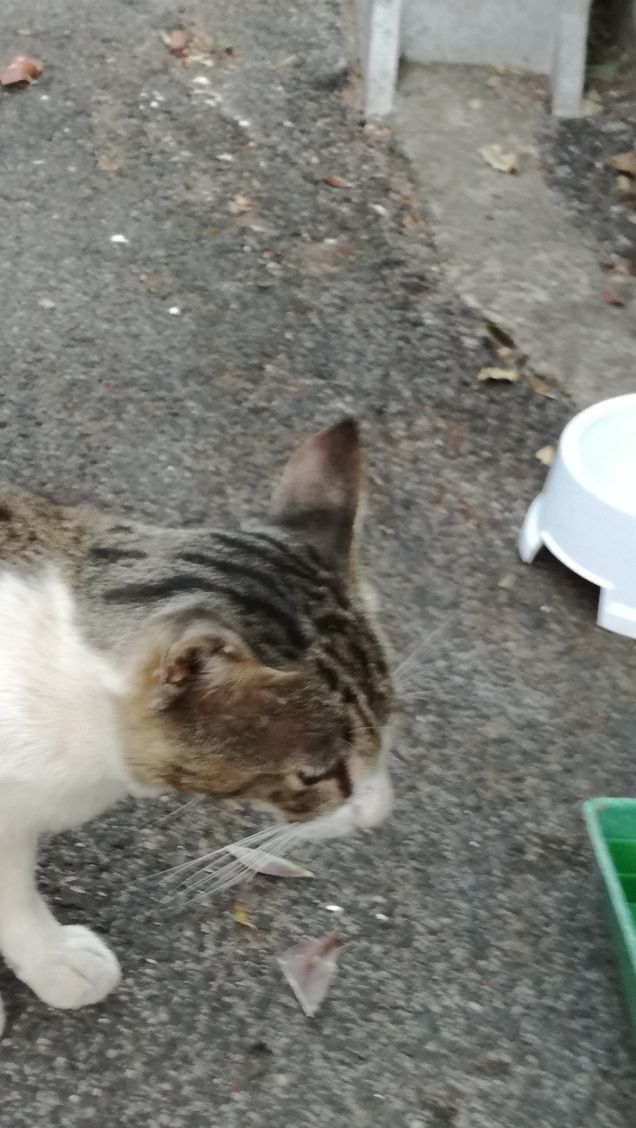 Ancora...ancora e ancora.13