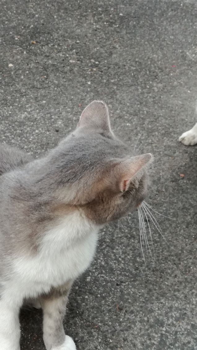 Ancora...ancora e ancora.14