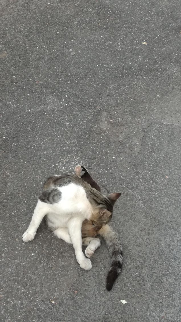 Ancora...ancora e ancora.19