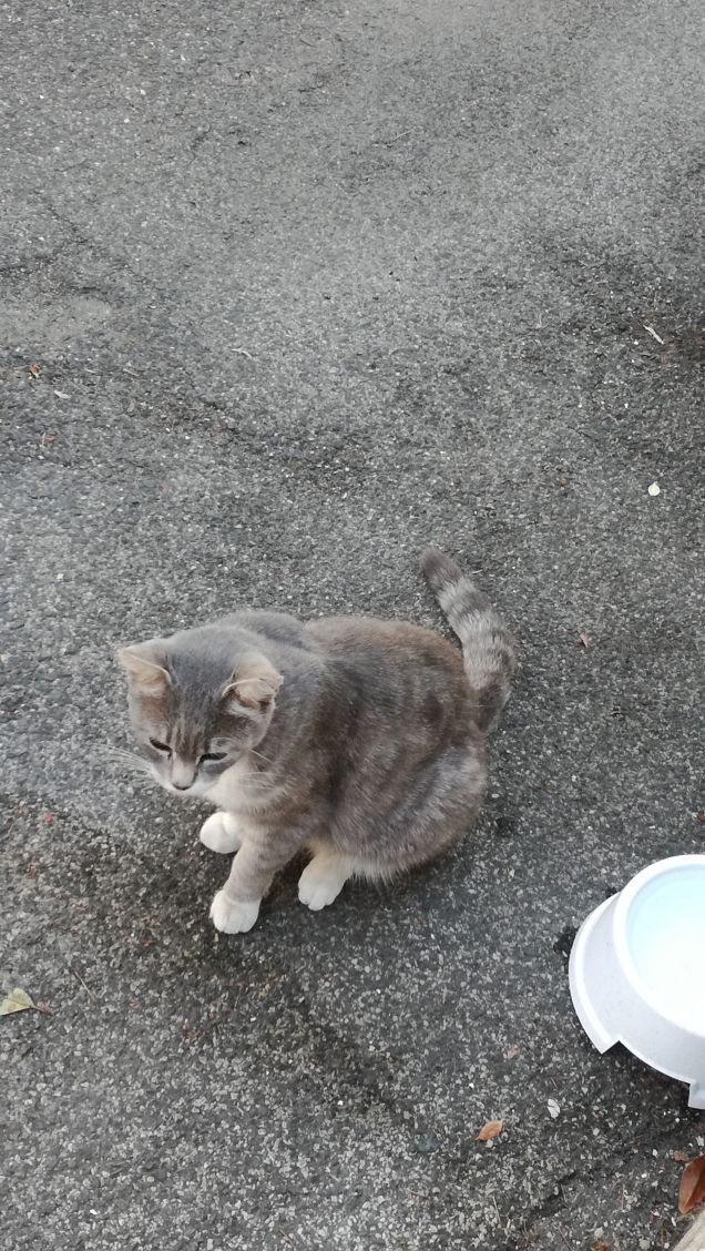 La più bella del mondo.