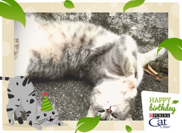 #HappyBirthdayCatChow5