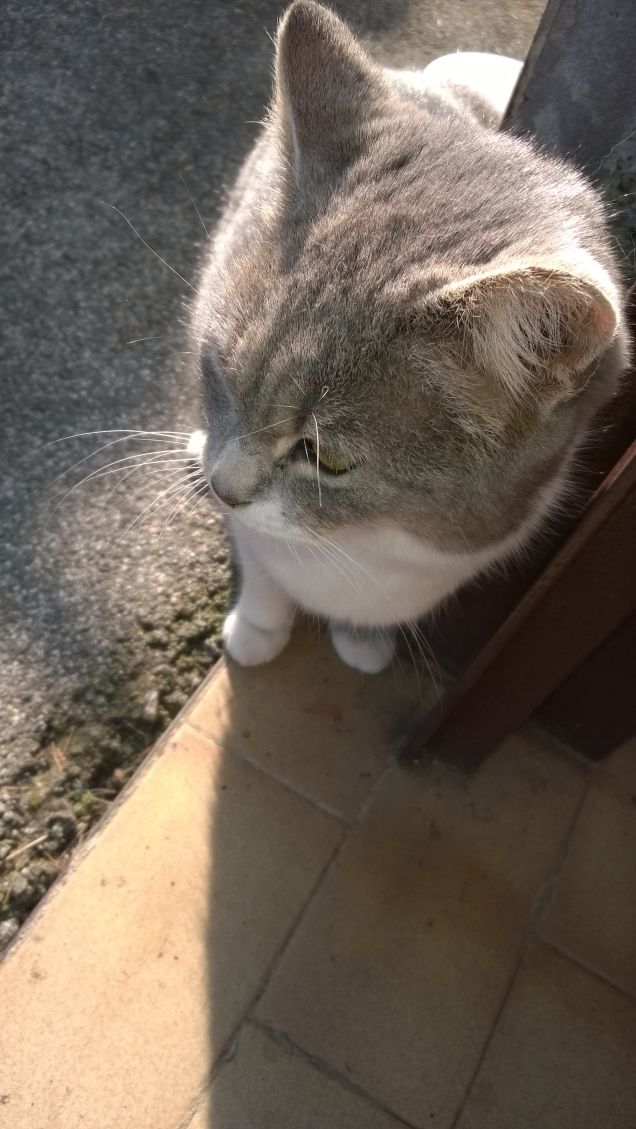 Pomeriggio in solitaria.16