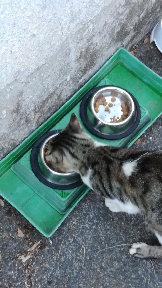 L'appetito vien mangiando10