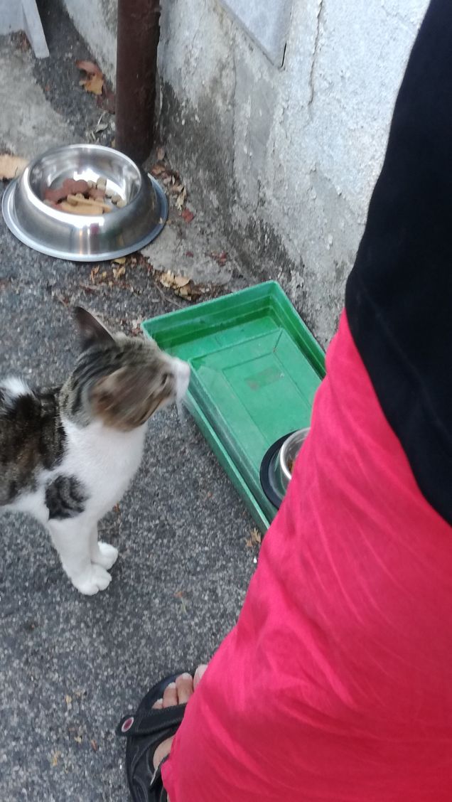 L'appetito vien mangiando18