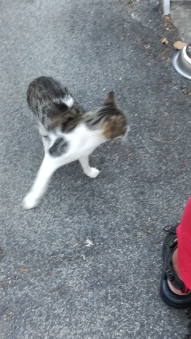 L'appetito vien mangiando19