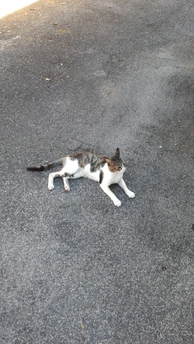 Giornata di Luglio10