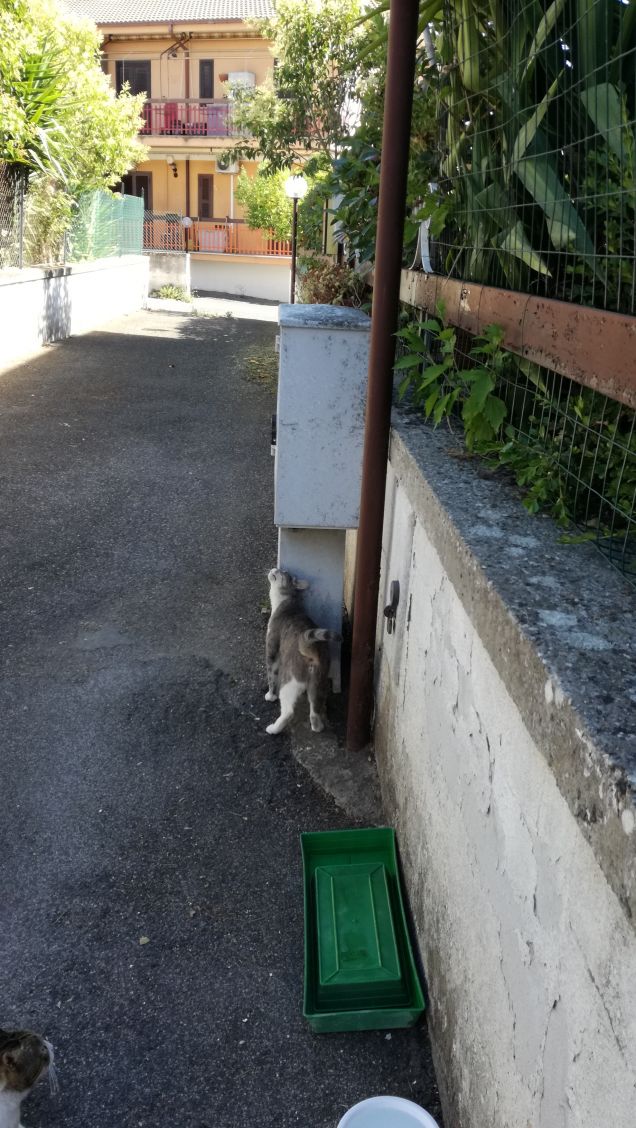 Giornata di Luglio11