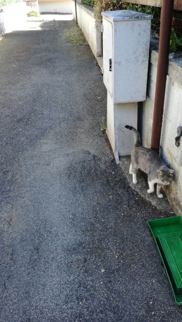 Giornata di Luglio12