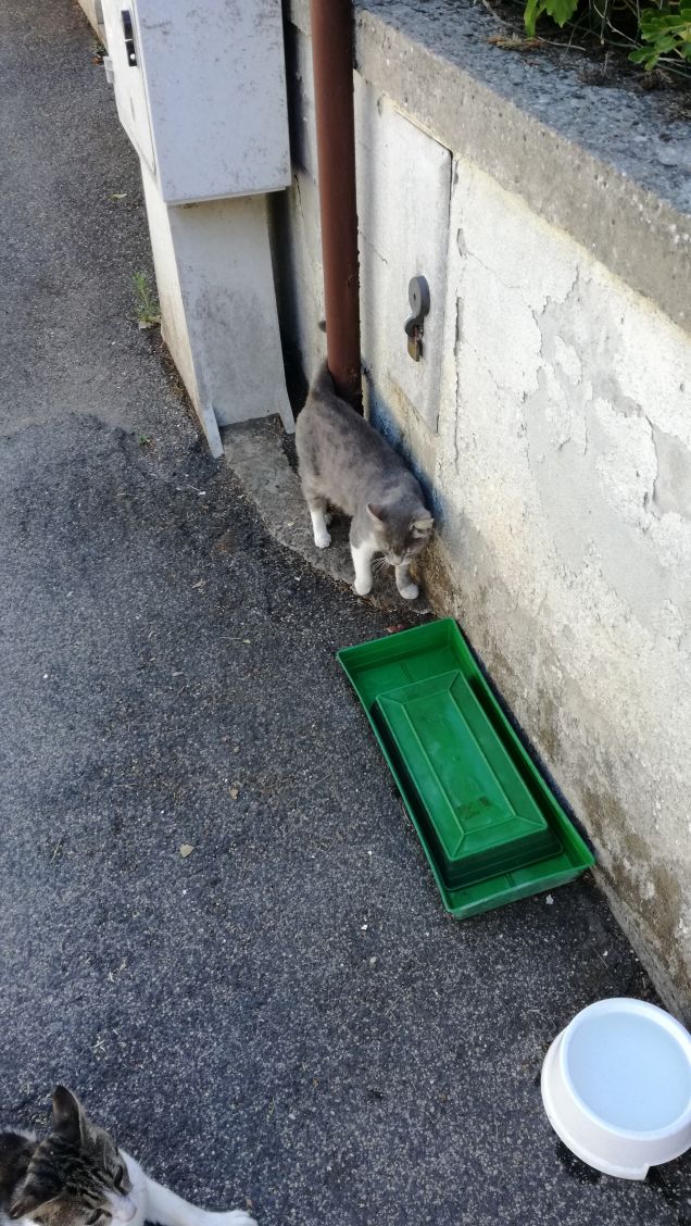 Giornata di Luglio13