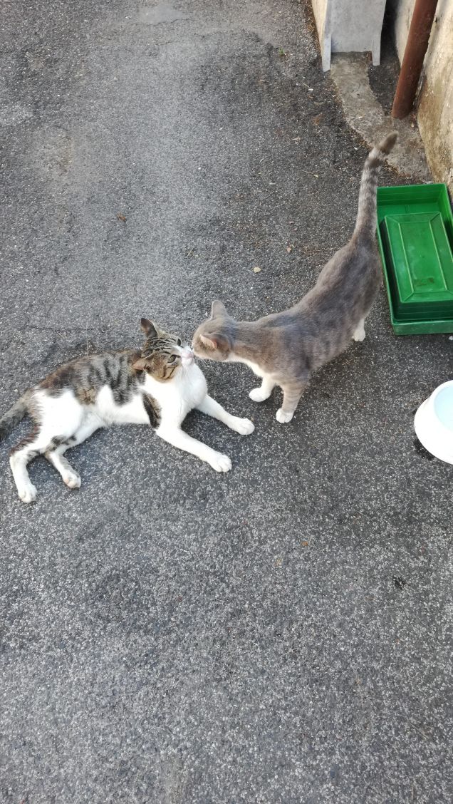 Giornata di Luglio15