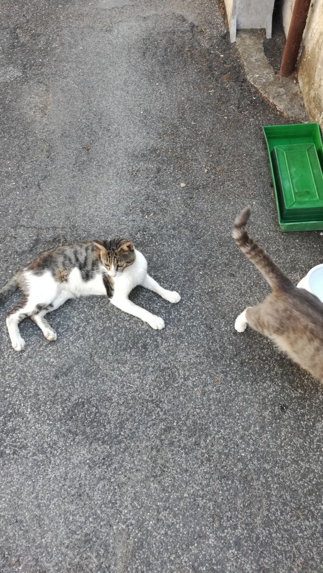 Giornata di Luglio17