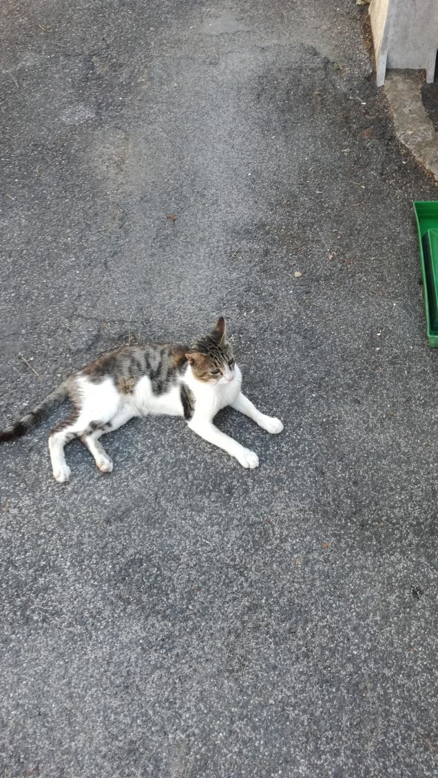 Giornata di Luglio18