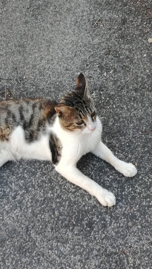 Giornata di Luglio19