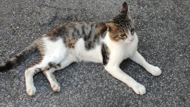 Giornata di Luglio20