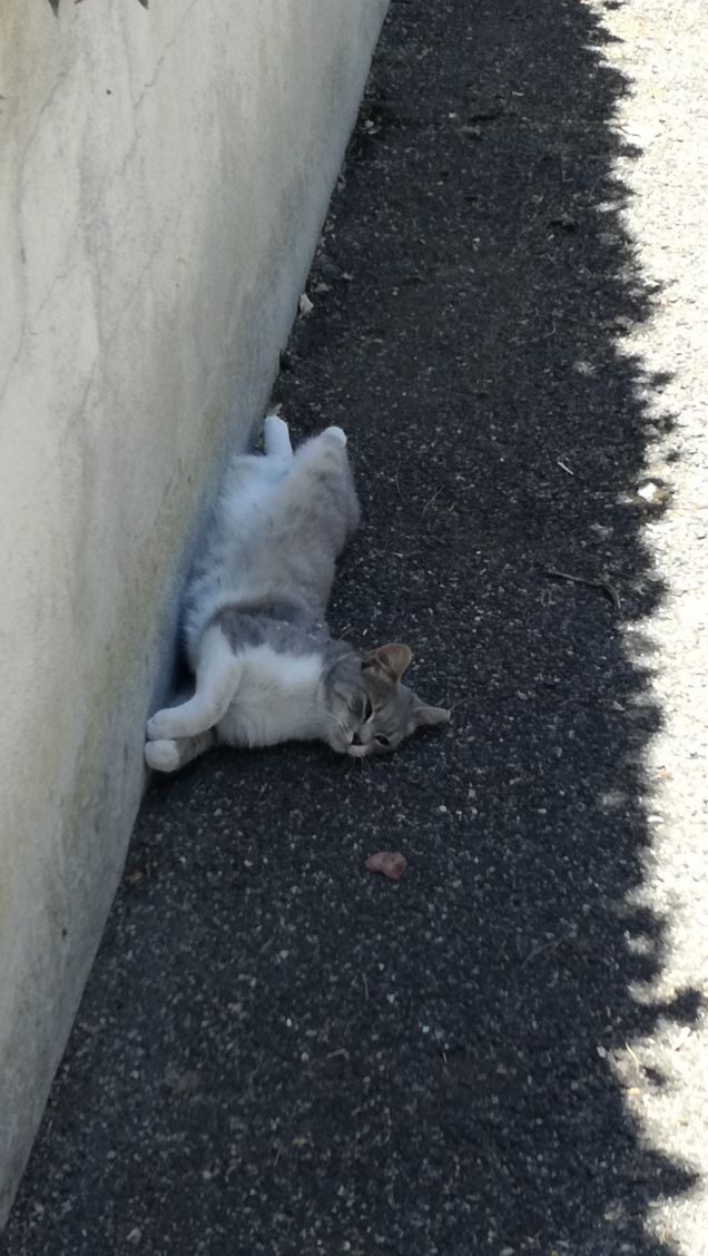 Uno spicchio d'ombra2