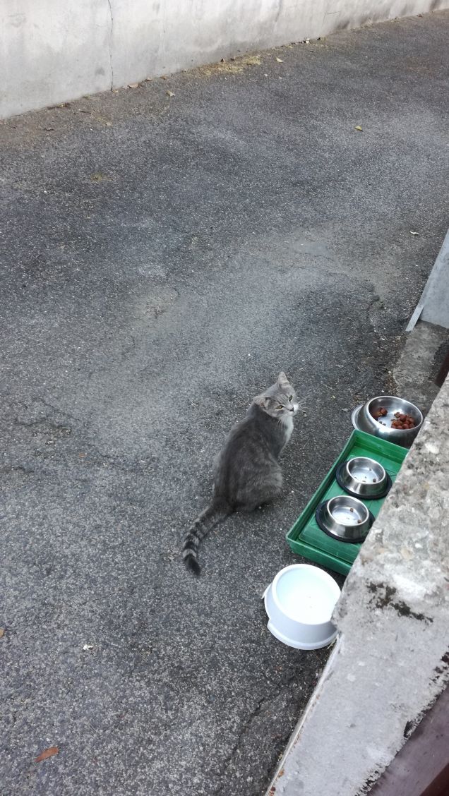 E' l' ora della pappa1