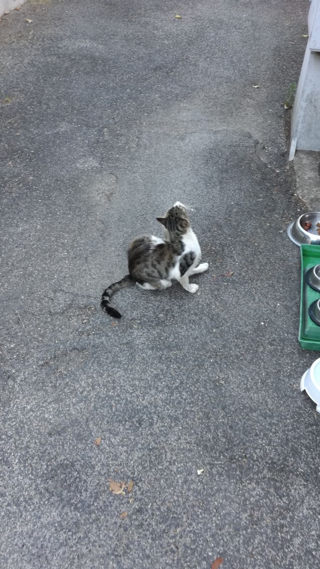 E' l' ora della pappa3