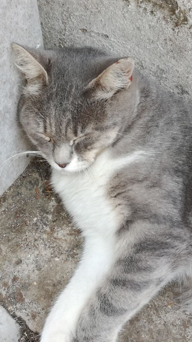 La bella addormentata7