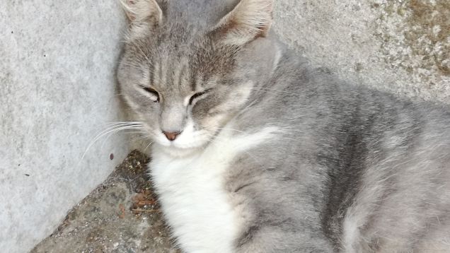 La bella addormentata9