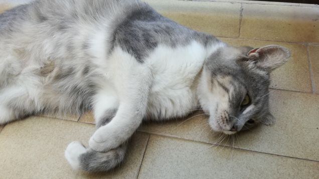 Che dire...qui si sta bene22