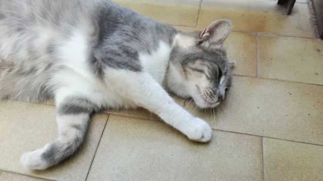 Che dire...qui si sta bene23