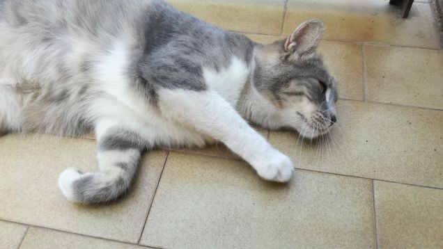 Che dire...qui si sta bene24