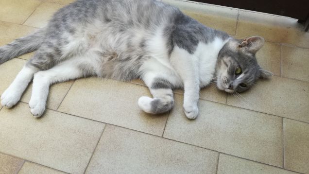 Che dire...qui si sta bene25