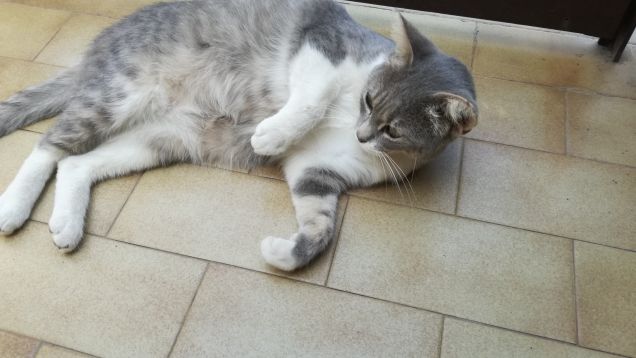 Che dire...qui si sta bene26