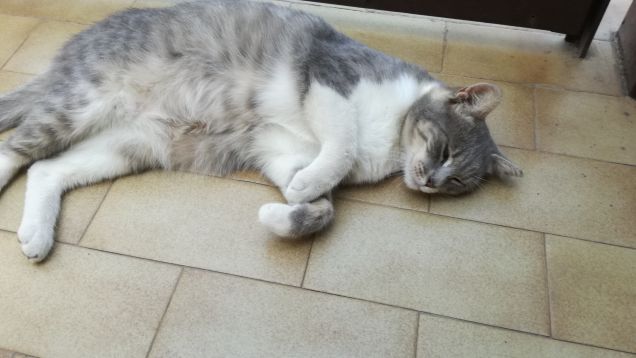 Che dire...qui si sta bene27