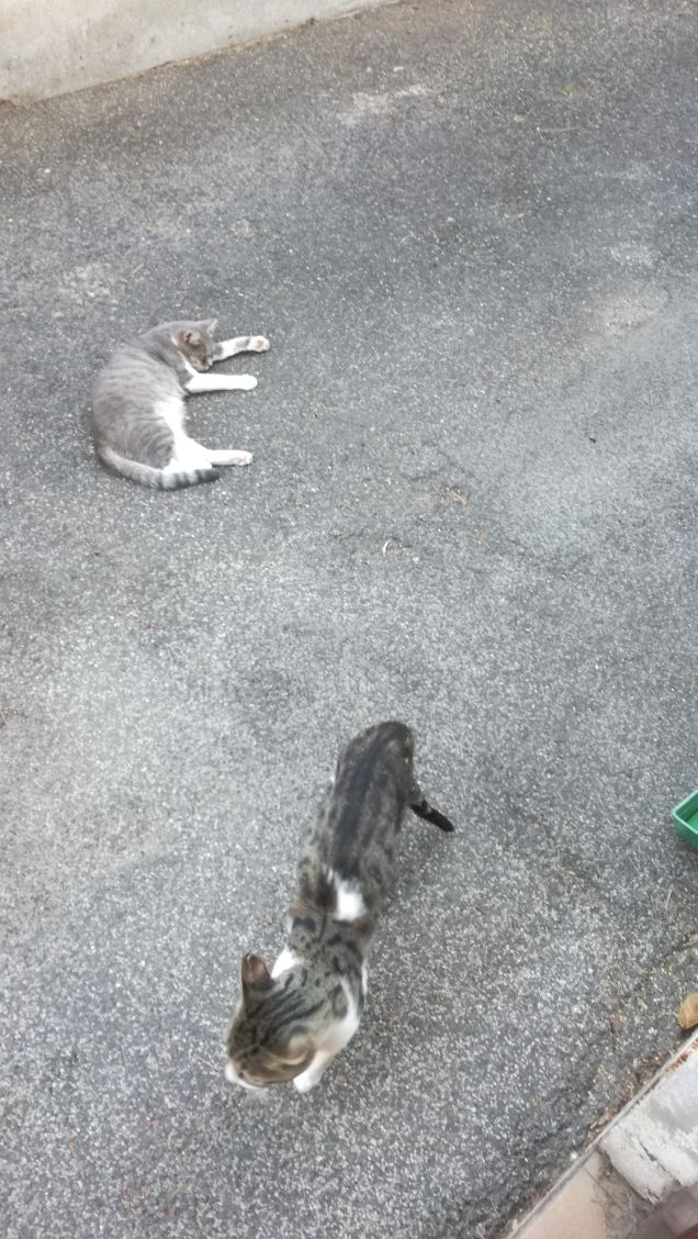 Strada e ancora strada1