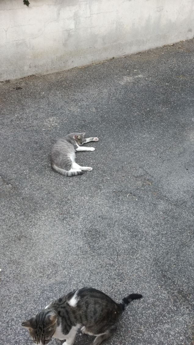 Strada e ancora strada2