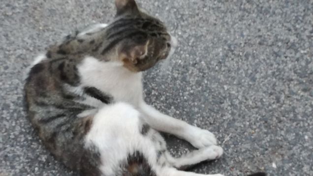 Strada e ancora strada5