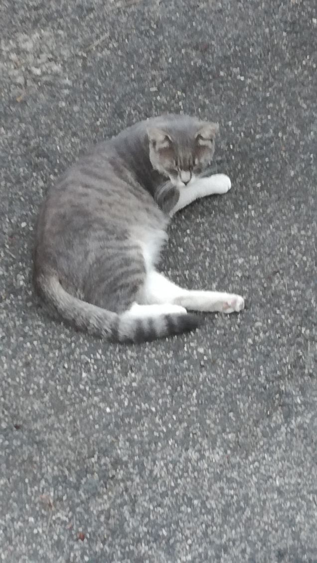 Strada e ancora strada8