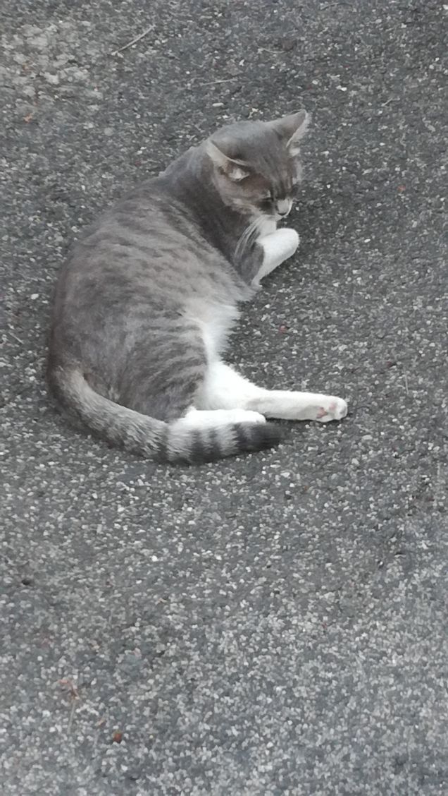 Strada e ancora strada9