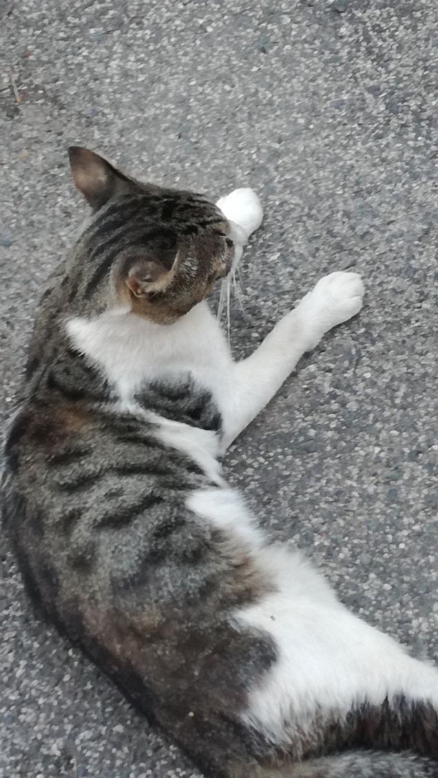 Strada e ancora strada10