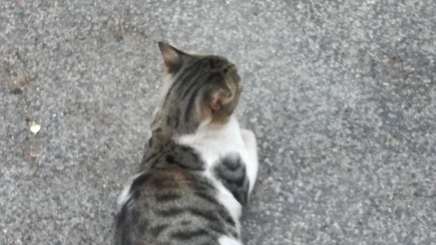 Strada e ancora strada11