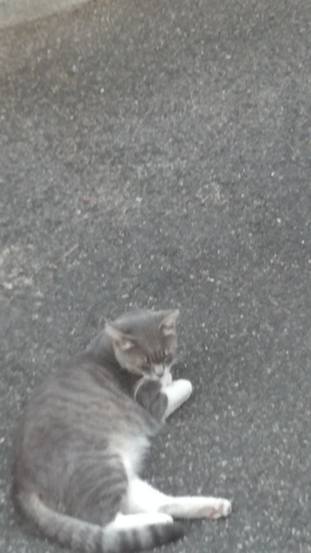 Strada e ancora strada12