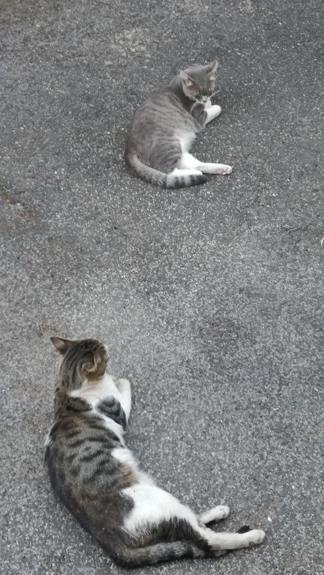 Strada e ancora strada13