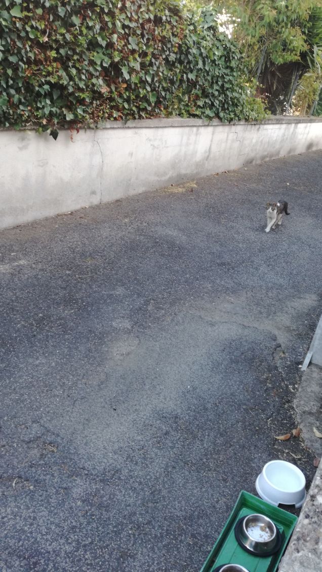 Strada e ancora strada14