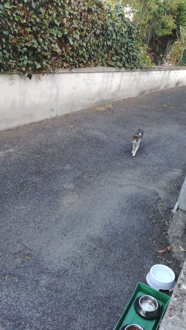 Strada e ancora strada15