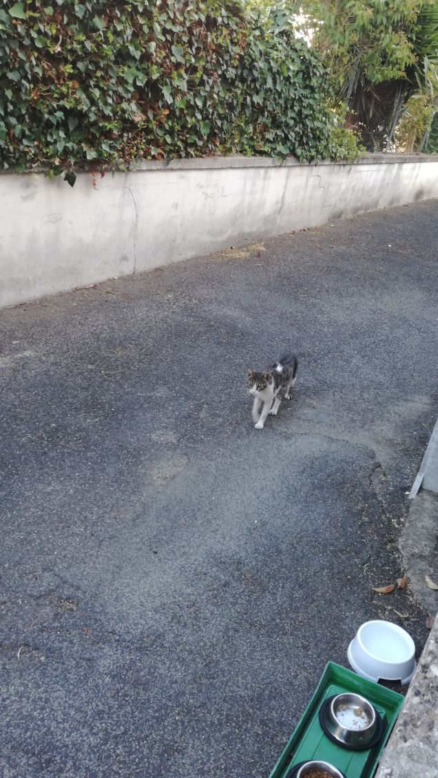 Strada e ancora strada16