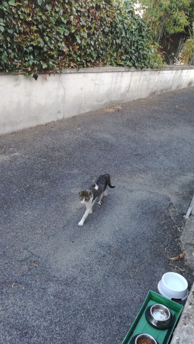 Strada e ancora strada17