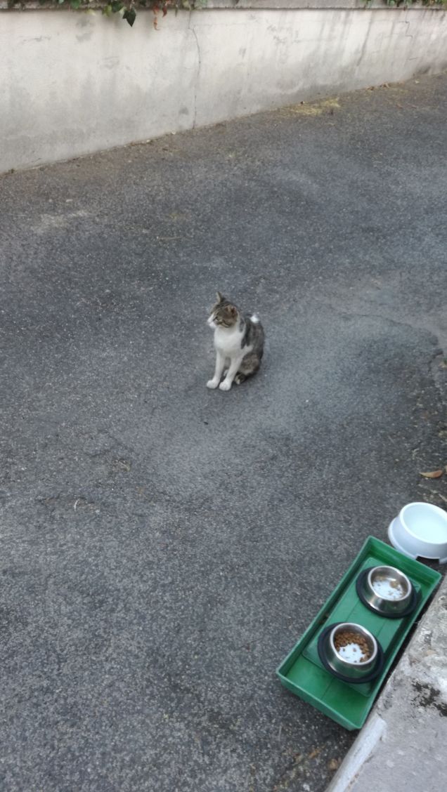 Strada e ancora strada18